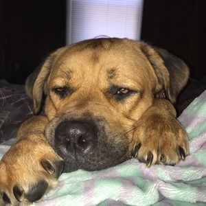 Meet your Posher, Shyann